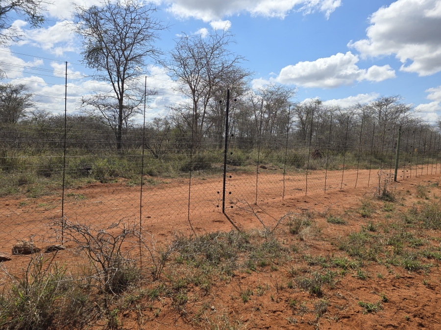 0 Bedroom Property for Sale in Dendron Limpopo