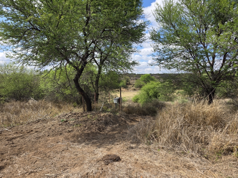 0 Bedroom Property for Sale in Dendron Limpopo