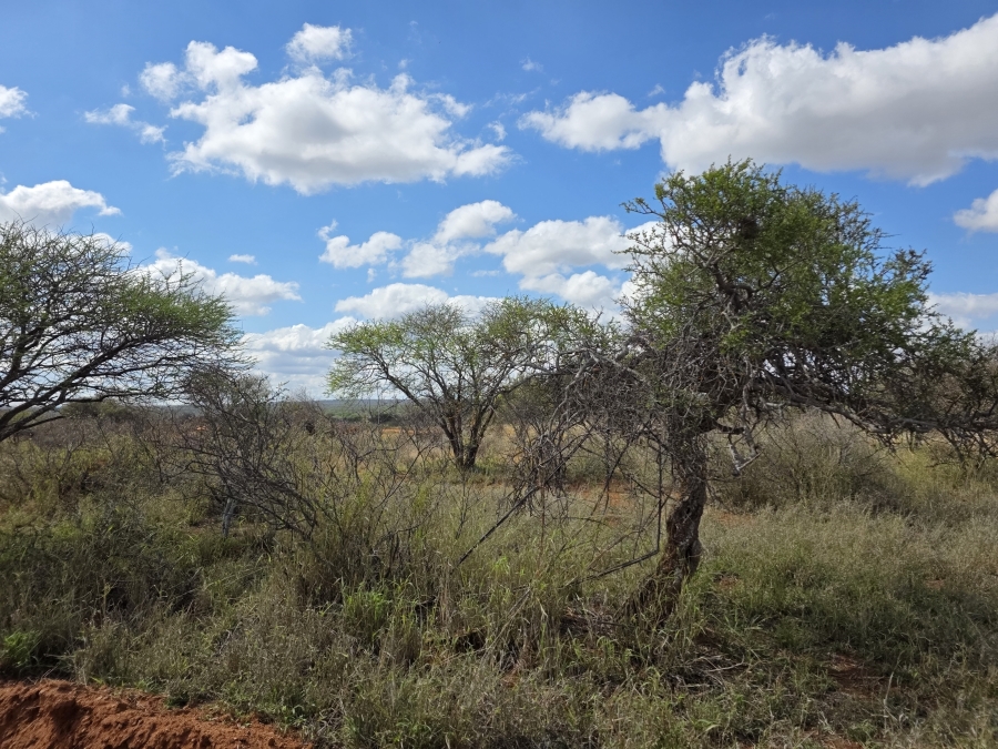 0 Bedroom Property for Sale in Dendron Limpopo
