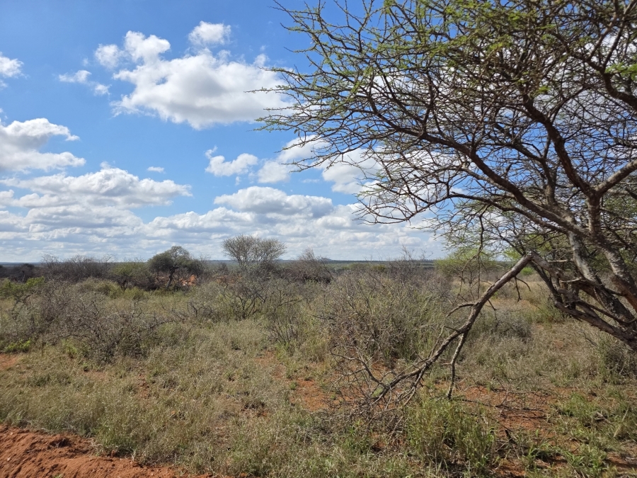 0 Bedroom Property for Sale in Dendron Limpopo