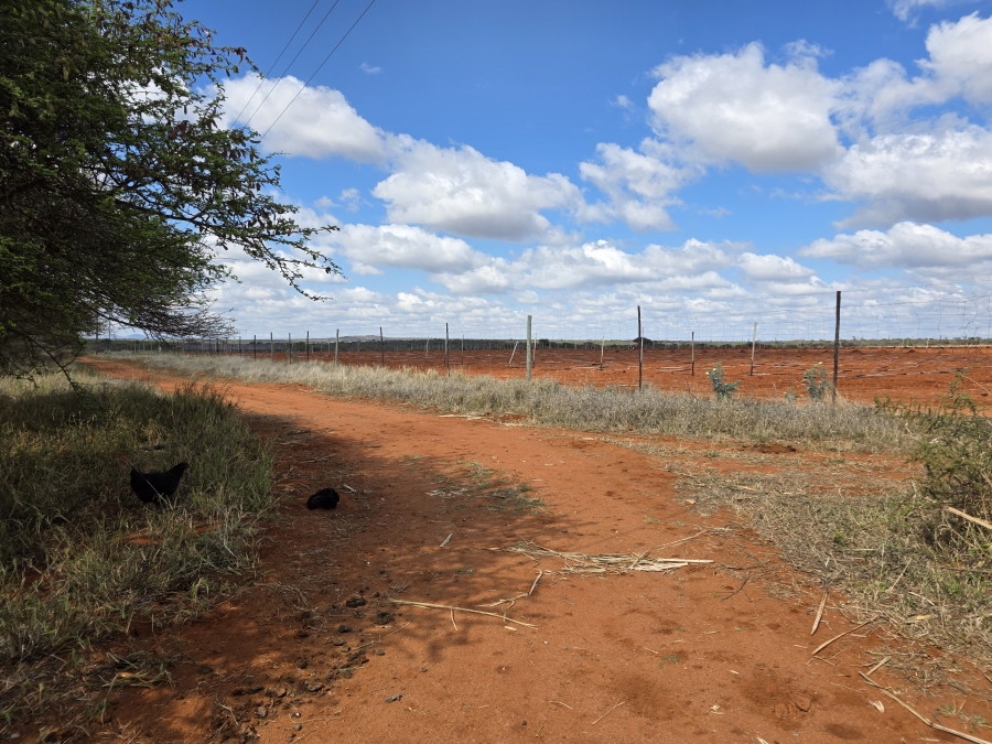 0 Bedroom Property for Sale in Dendron Limpopo