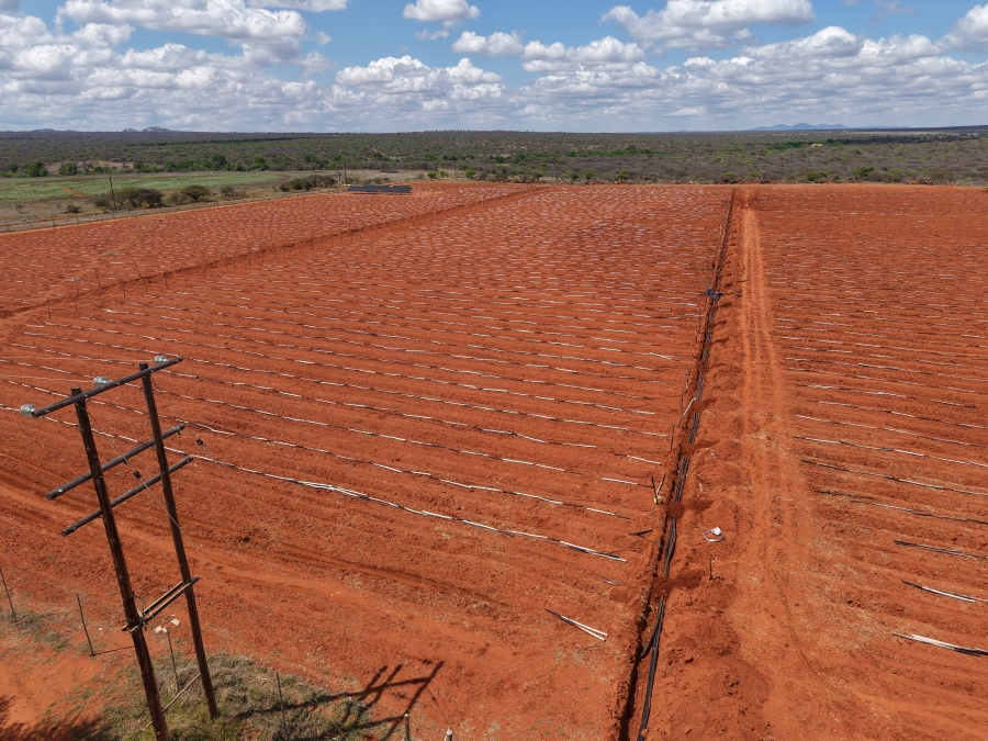 0 Bedroom Property for Sale in Dendron Limpopo