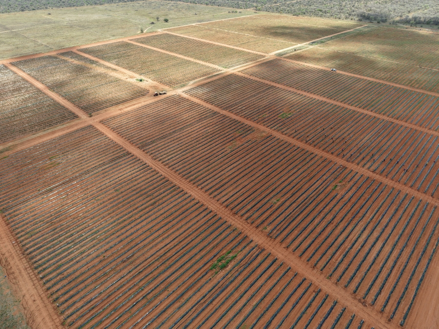 0 Bedroom Property for Sale in Dendron Limpopo
