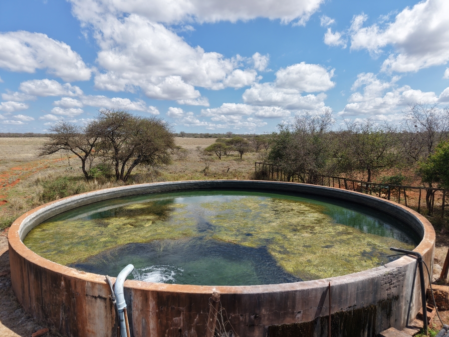 0 Bedroom Property for Sale in Dendron Limpopo