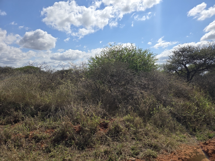 0 Bedroom Property for Sale in Dendron Limpopo