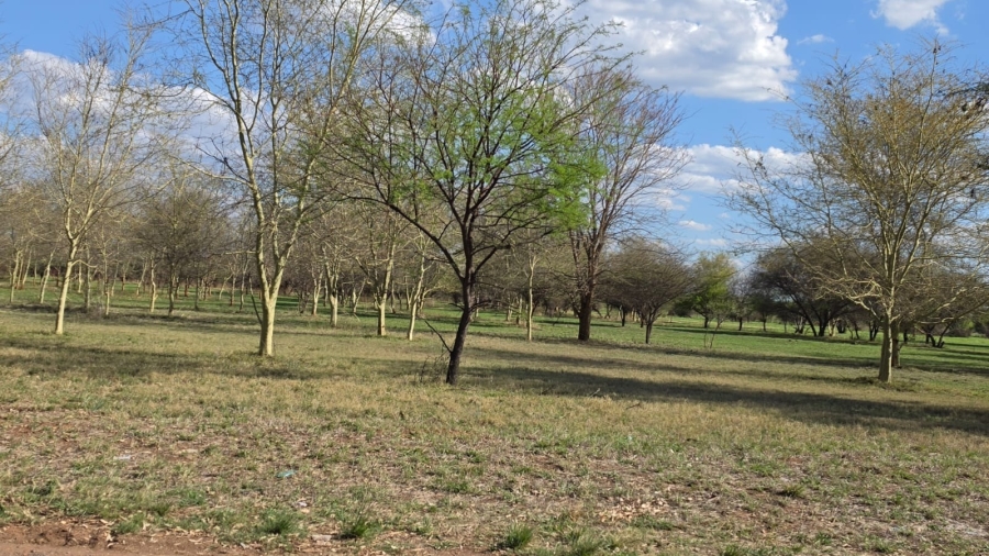 0 Bedroom Property for Sale in Bela Bela Limpopo