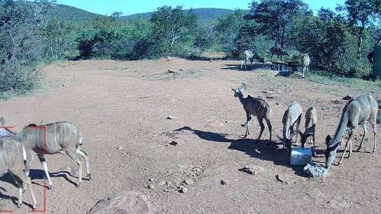 3 Bedroom Property for Sale in Vaalwater Limpopo