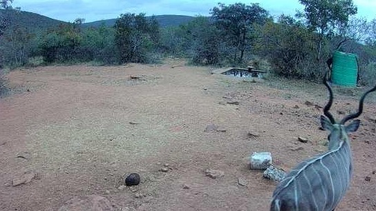 3 Bedroom Property for Sale in Vaalwater Limpopo