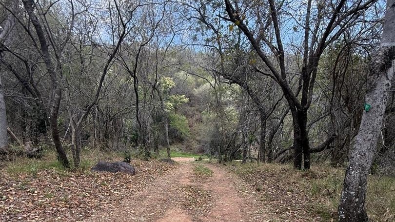 3 Bedroom Property for Sale in Vaalwater Limpopo