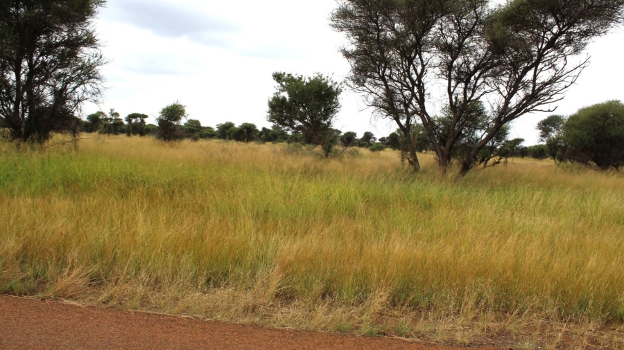 0 Bedroom Property for Sale in Northam Limpopo