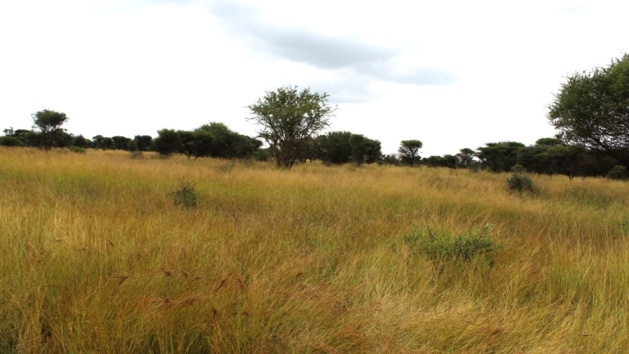 0 Bedroom Property for Sale in Northam Limpopo