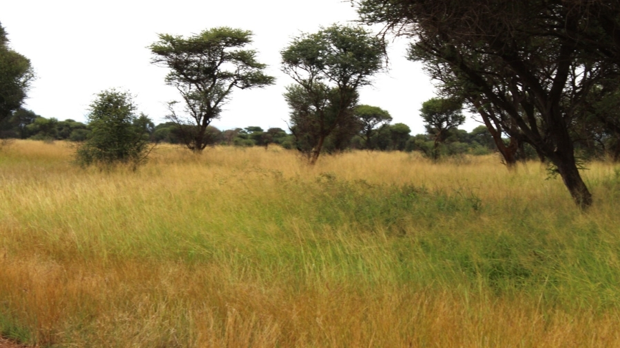 0 Bedroom Property for Sale in Northam Limpopo