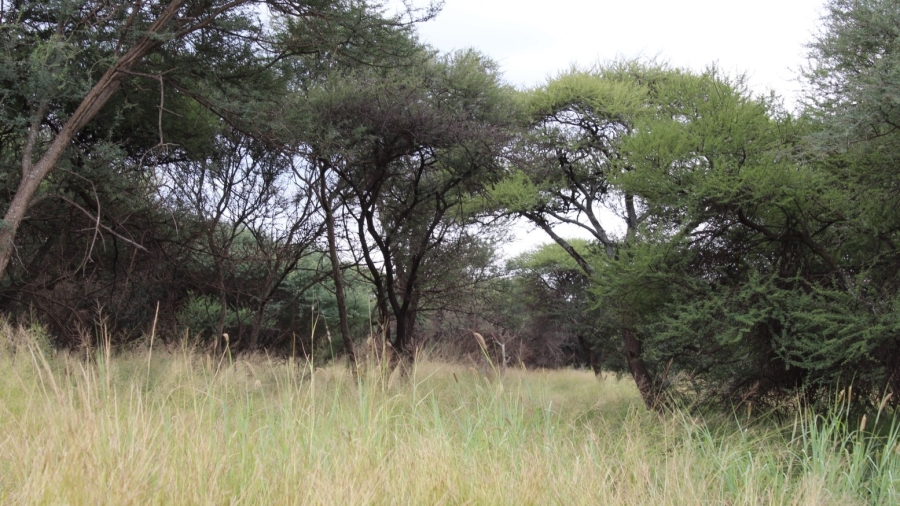 0 Bedroom Property for Sale in Northam Limpopo