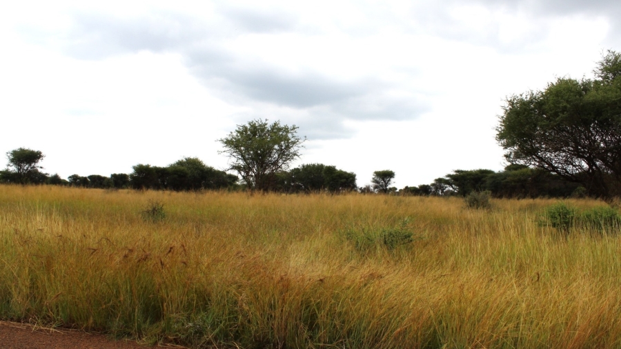 0 Bedroom Property for Sale in Northam Limpopo