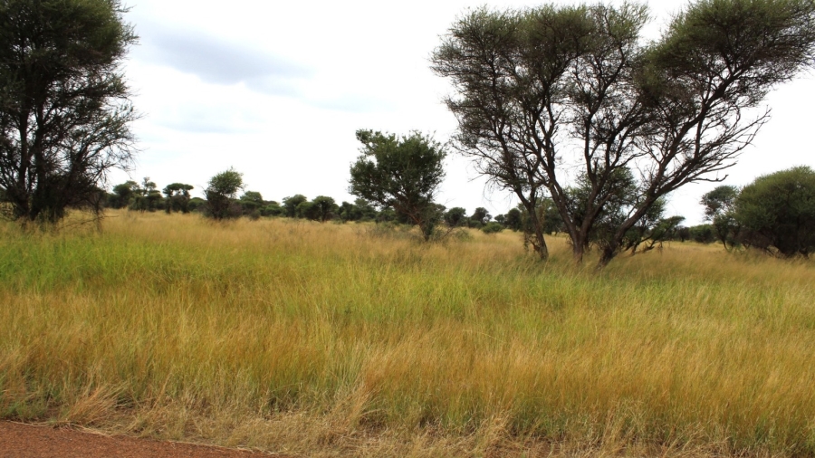 0 Bedroom Property for Sale in Northam Limpopo