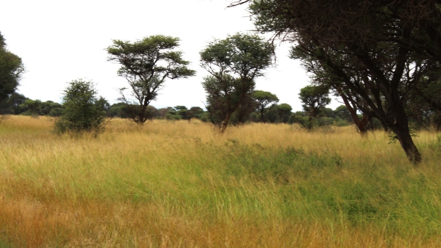 0 Bedroom Property for Sale in Northam Limpopo