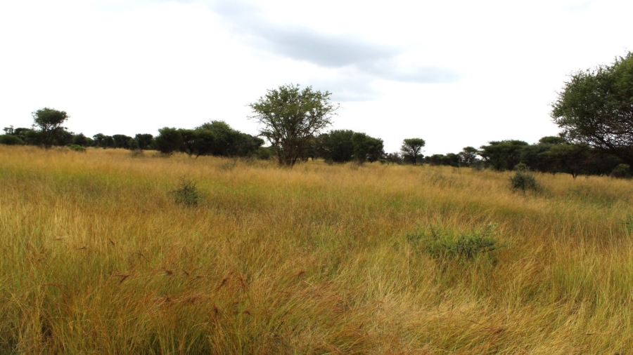 0 Bedroom Property for Sale in Northam Limpopo