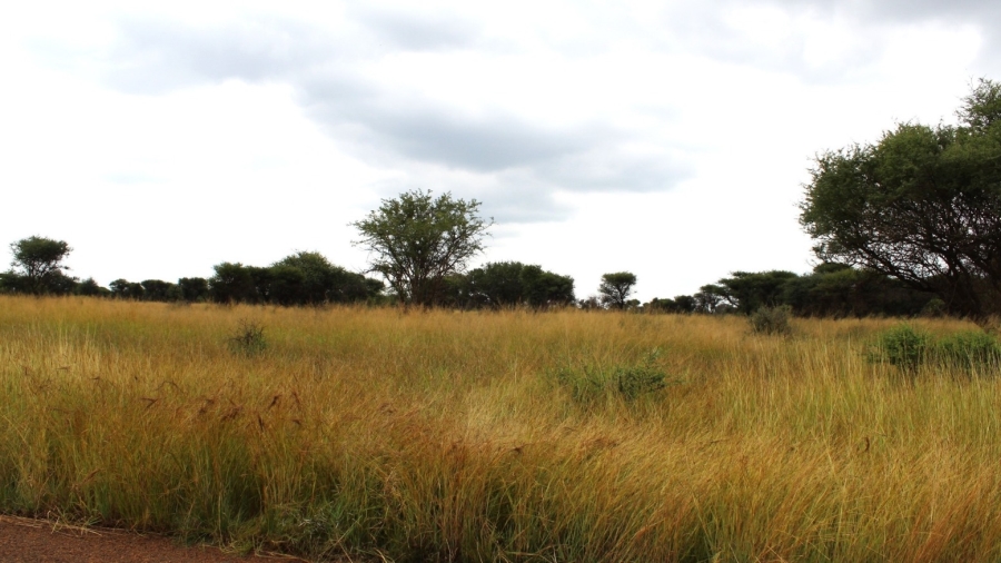 0 Bedroom Property for Sale in Northam Limpopo