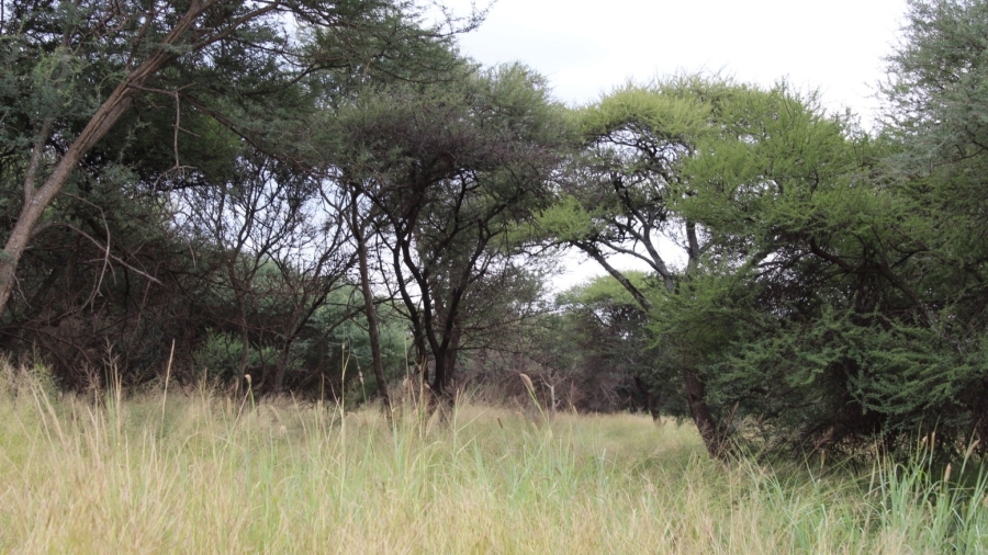 0 Bedroom Property for Sale in Northam Limpopo