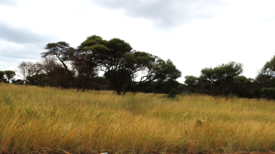 0 Bedroom Property for Sale in Northam Limpopo