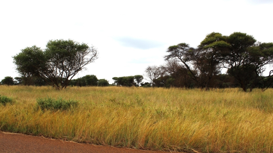 0 Bedroom Property for Sale in Northam Limpopo
