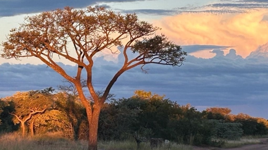0 Bedroom Property for Sale in Verloren Estate Limpopo