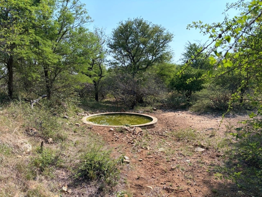 3 Bedroom Property for Sale in Ndlovumzi Limpopo