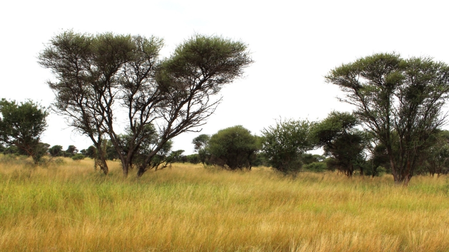 0 Bedroom Property for Sale in Northam Limpopo