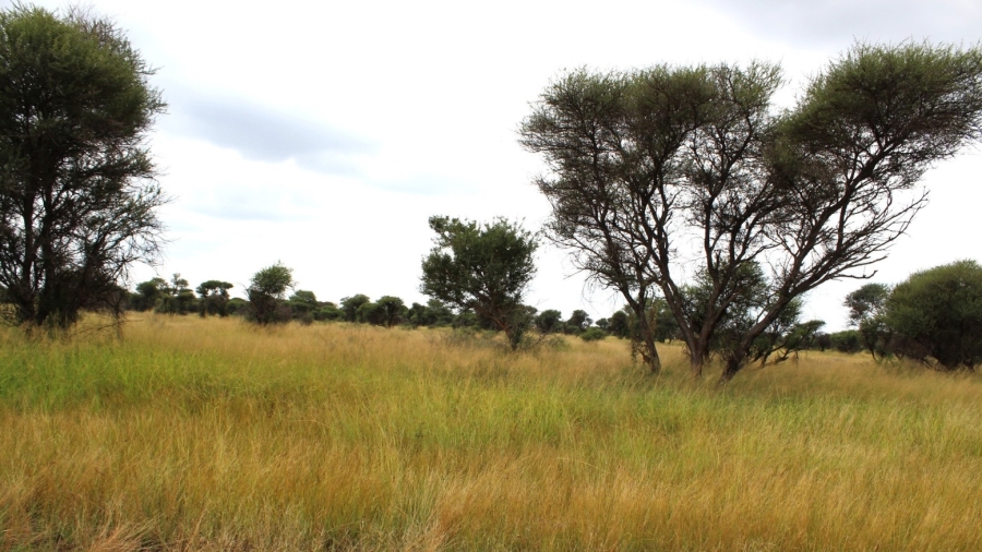 0 Bedroom Property for Sale in Northam Limpopo