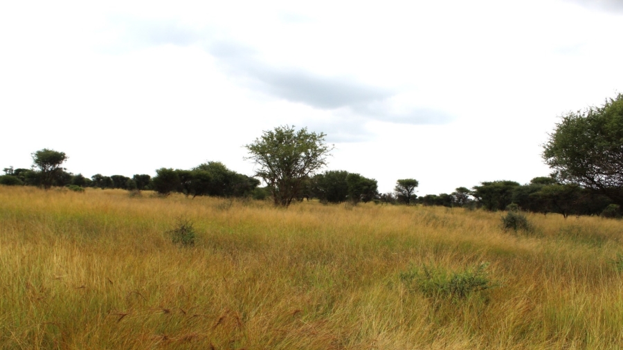 0 Bedroom Property for Sale in Northam Limpopo