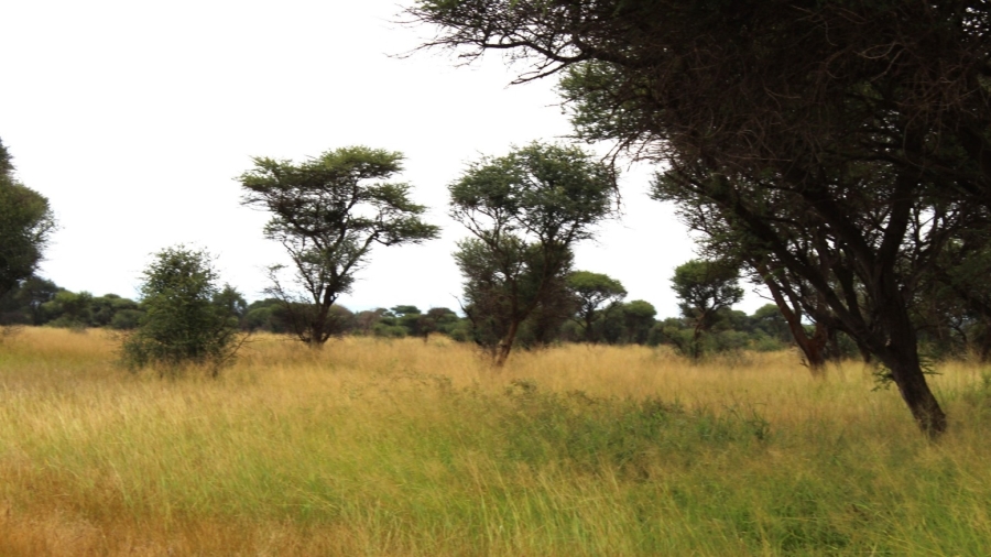 0 Bedroom Property for Sale in Northam Limpopo