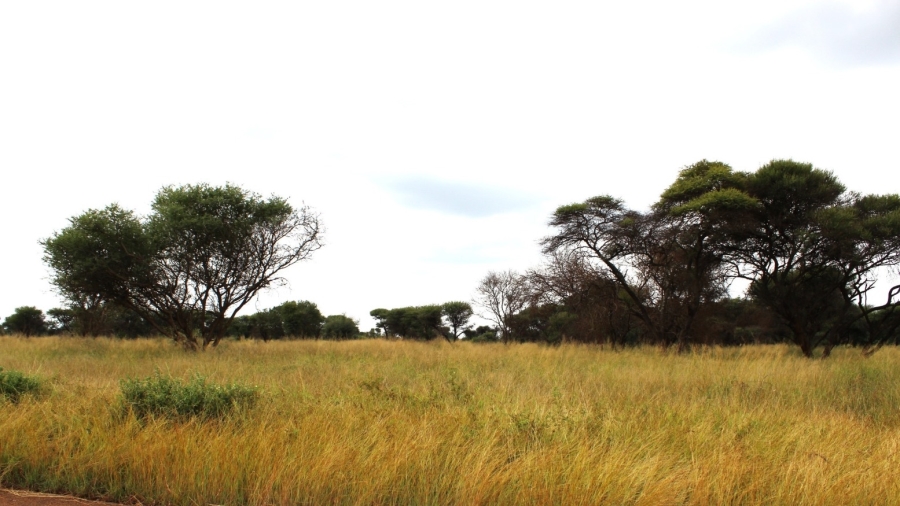 0 Bedroom Property for Sale in Northam Limpopo