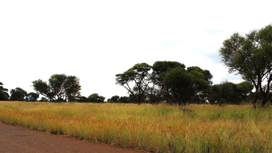 0 Bedroom Property for Sale in Northam Limpopo