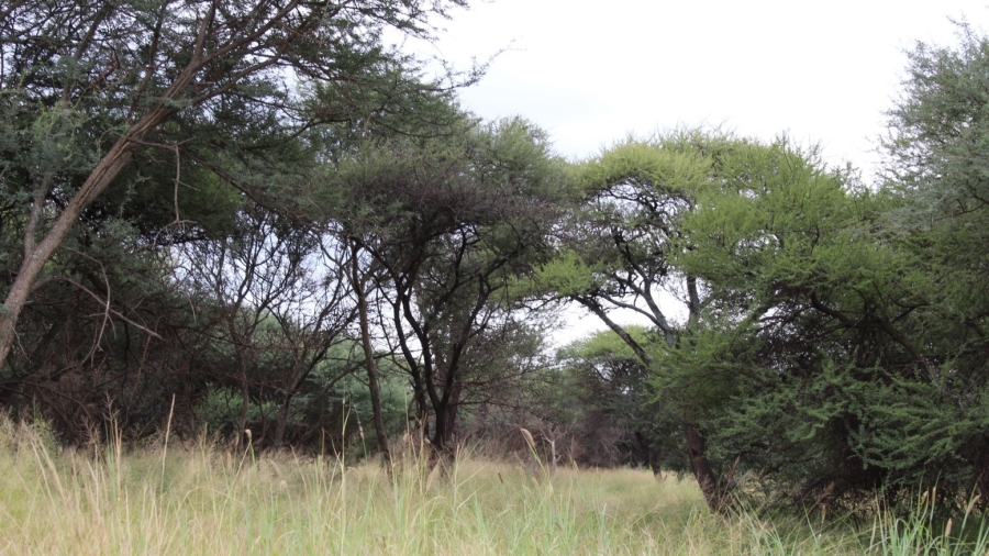 0 Bedroom Property for Sale in Northam Limpopo