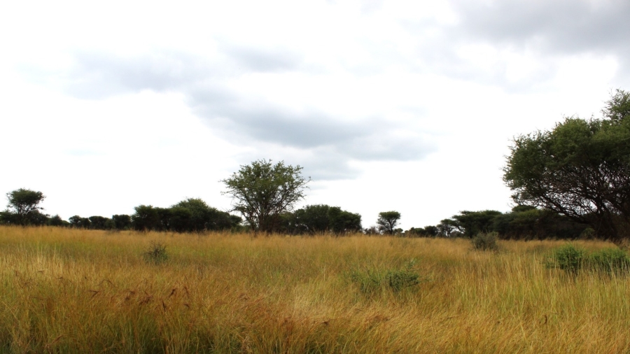 0 Bedroom Property for Sale in Northam Limpopo
