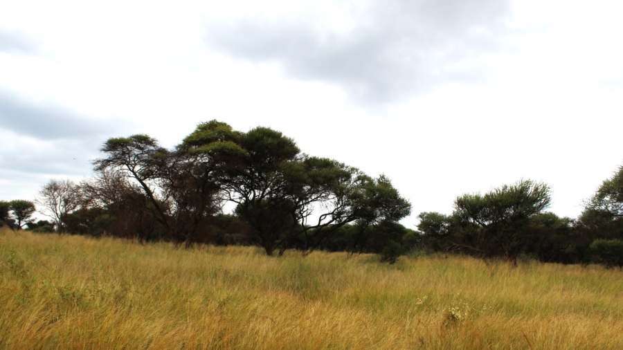 0 Bedroom Property for Sale in Northam Limpopo