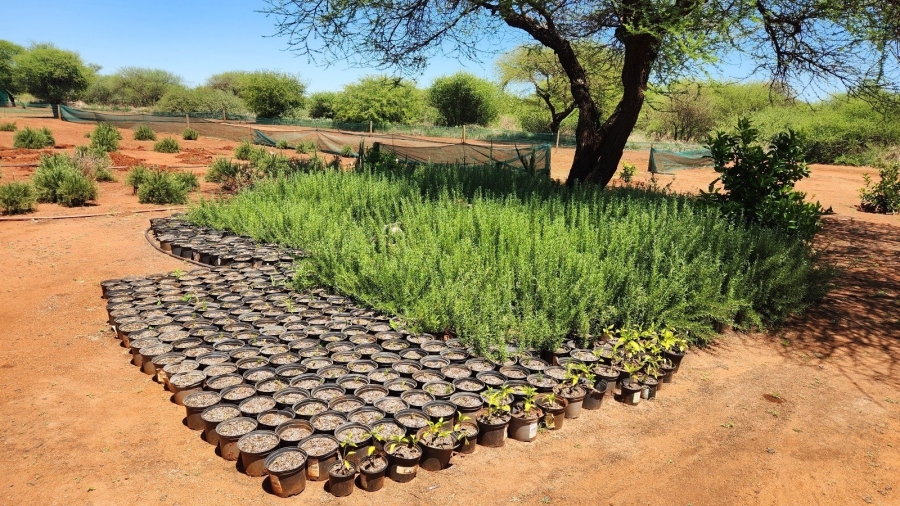 0 Bedroom Property for Sale in Northam Limpopo
