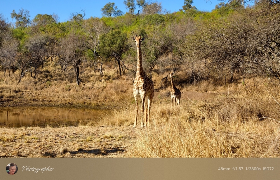 2 Bedroom Property for Sale in Mookgopong Limpopo