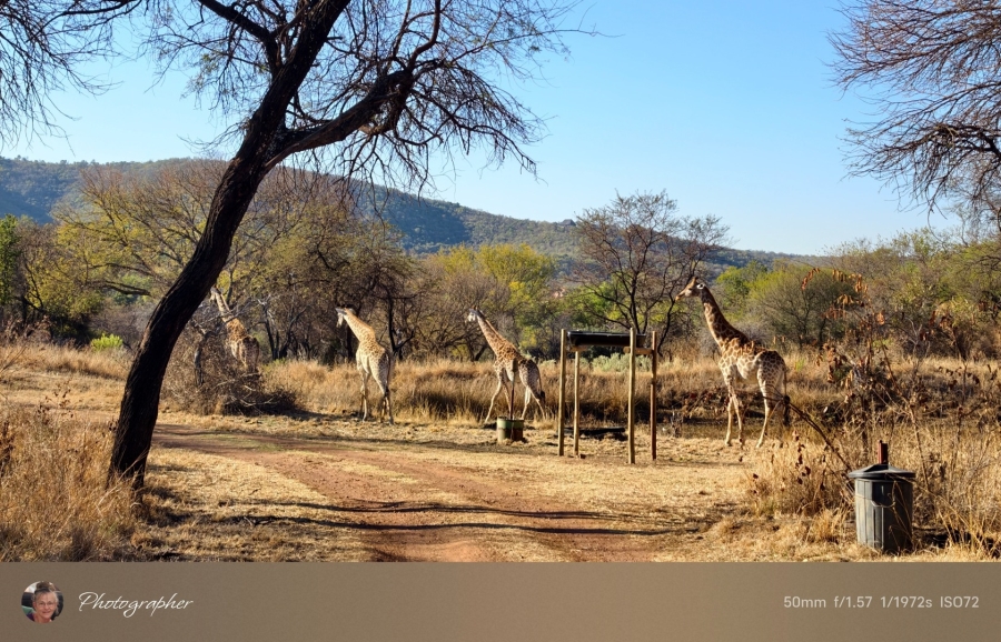 2 Bedroom Property for Sale in Mookgopong Limpopo