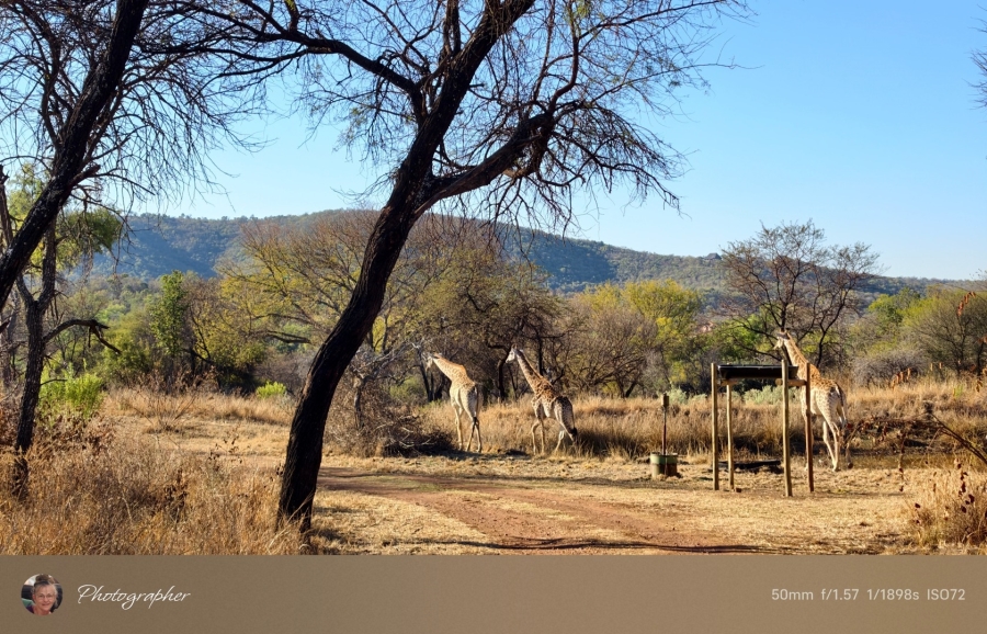 2 Bedroom Property for Sale in Mookgopong Limpopo