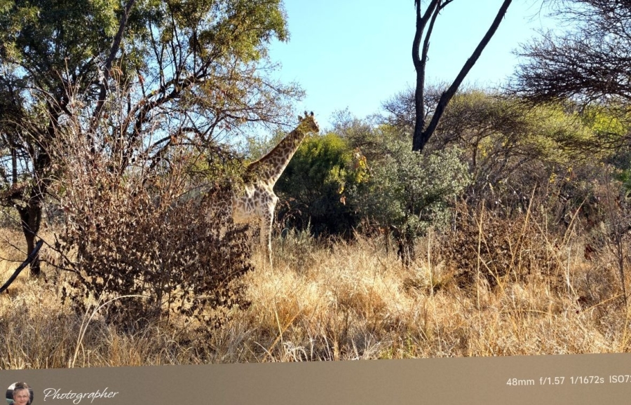 2 Bedroom Property for Sale in Mookgopong Limpopo