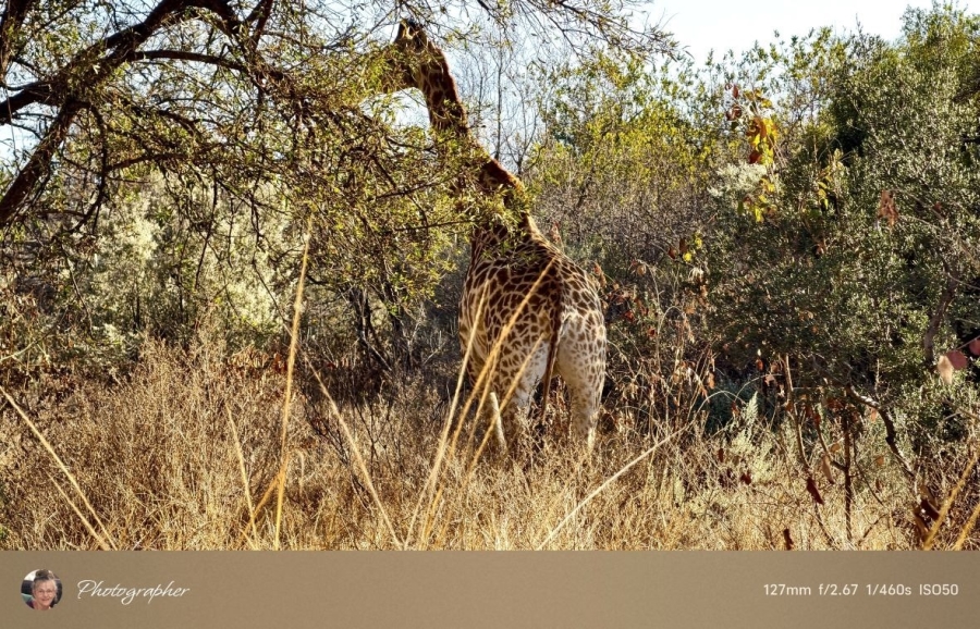 2 Bedroom Property for Sale in Mookgopong Limpopo