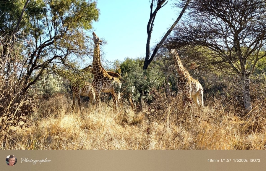 2 Bedroom Property for Sale in Mookgopong Limpopo