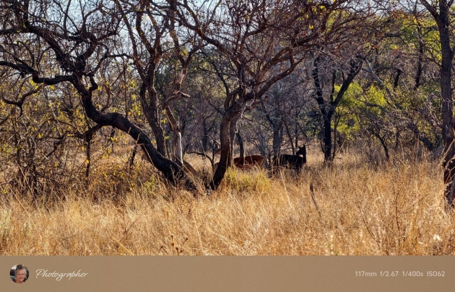 2 Bedroom Property for Sale in Mookgopong Limpopo