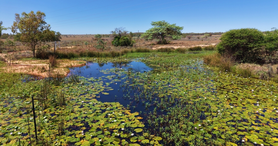 6 Bedroom Property for Sale in Modimolle Limpopo