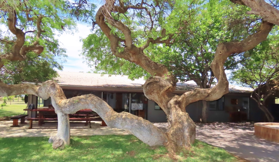 32 Bedroom Property for Sale in Thabazimbi Rural Limpopo