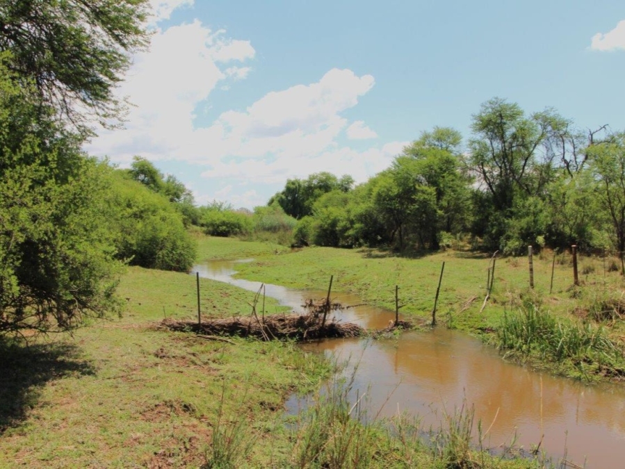5 Bedroom Property for Sale in Modimolle Limpopo