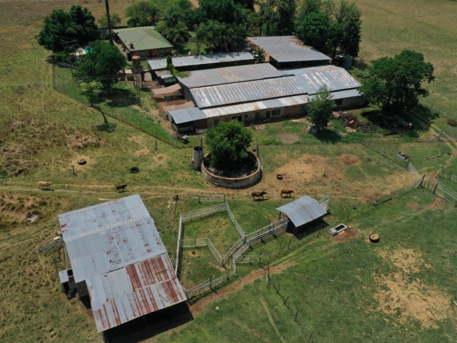 5 Bedroom Property for Sale in Modimolle Limpopo