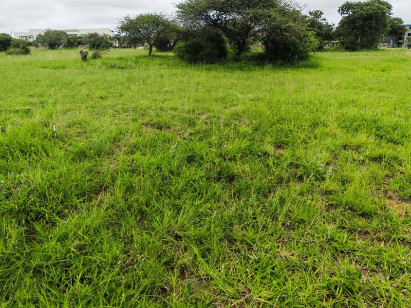 0 Bedroom Property for Sale in The Aloes Lifestyle Estate Limpopo