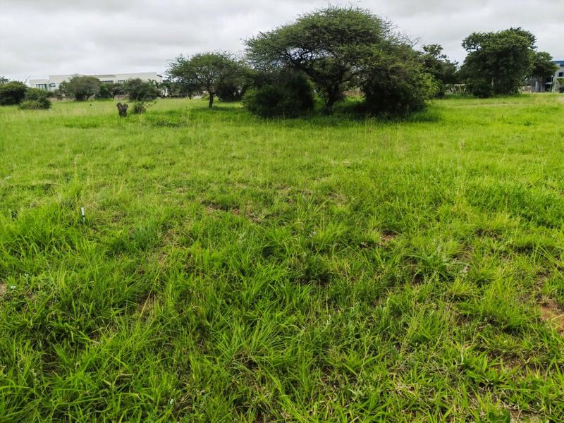 0 Bedroom Property for Sale in The Aloes Lifestyle Estate Limpopo